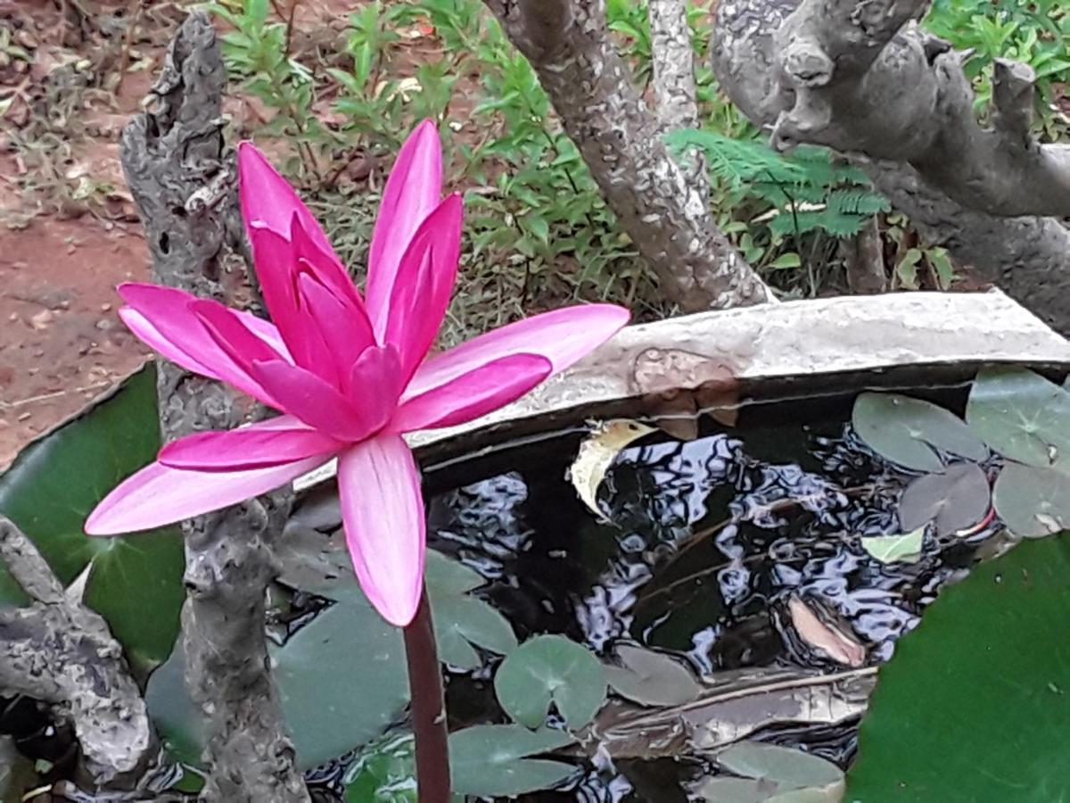 Suduweli Beauties Of Nature - Yala Kirinda  Exterior foto