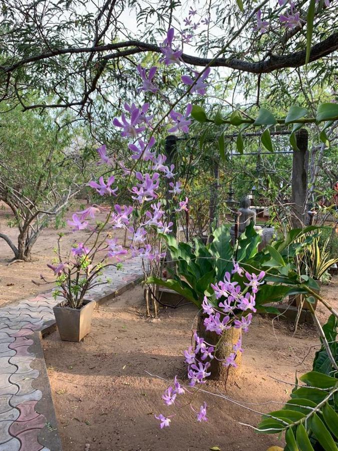 Suduweli Beauties Of Nature - Yala Kirinda  Exterior foto