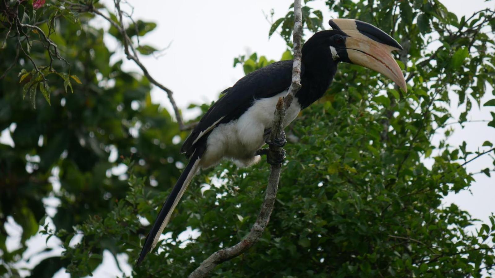 Suduweli Beauties Of Nature - Yala Kirinda  Exterior foto