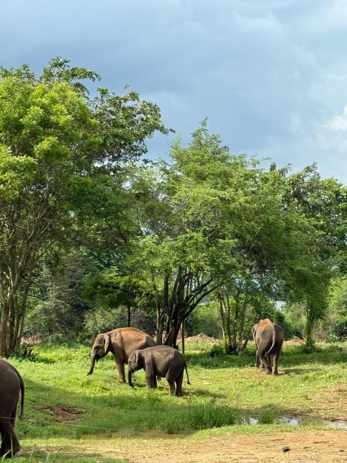 Suduweli Beauties Of Nature - Yala Kirinda  Exterior foto
